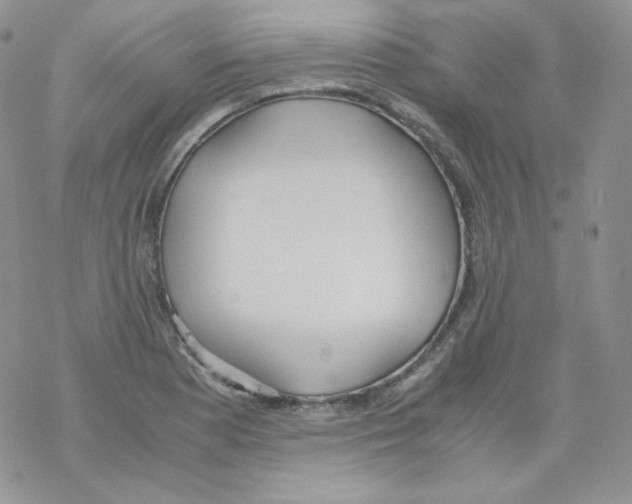 X0000069391177200606091709