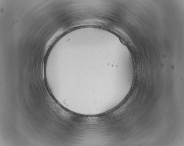 X0000069391180200606091709