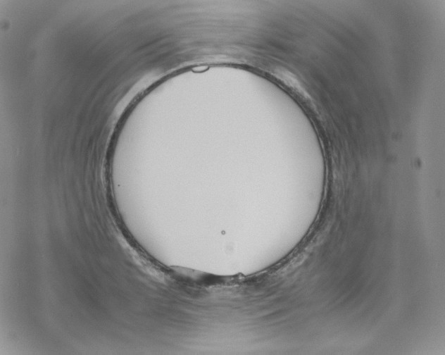 X0000069391181200606091709