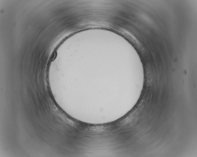 X0000069391182200606091709