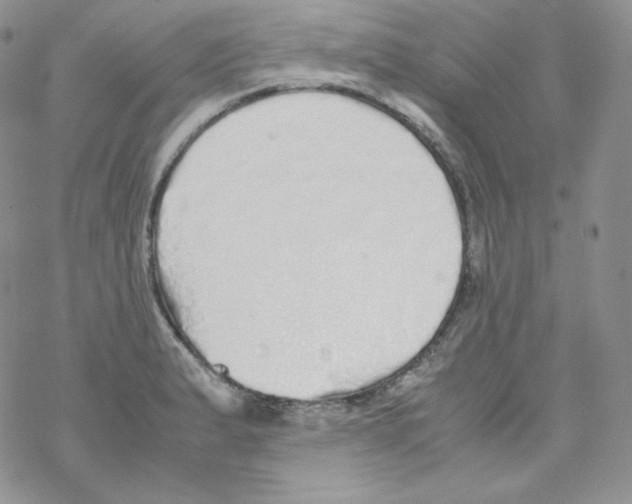 X0000069391183200606091709