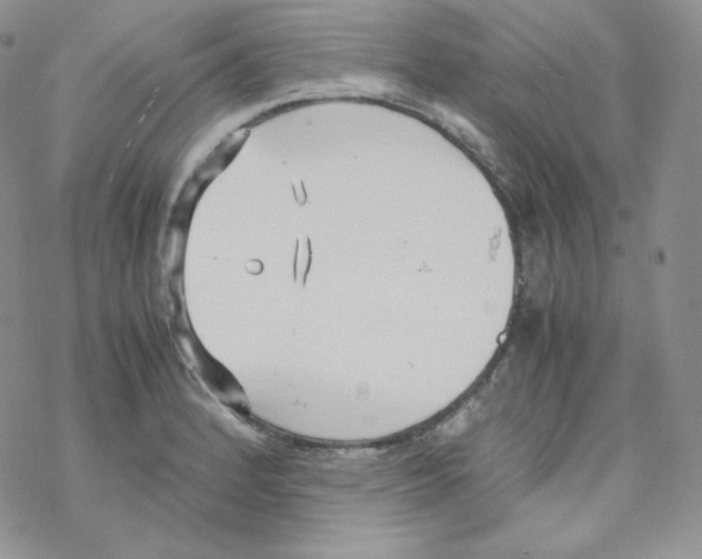 X0000069391184200606091709