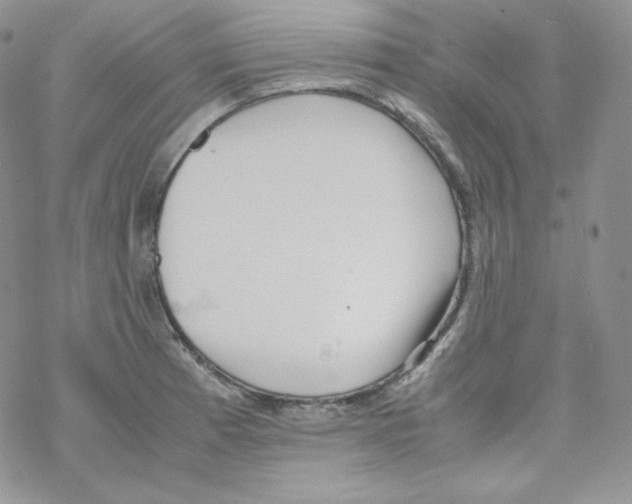 X0000069391185200606091709