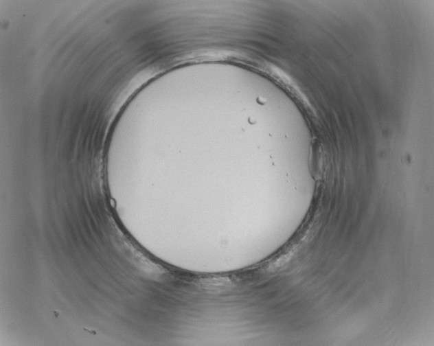 X0000069391186200606091709