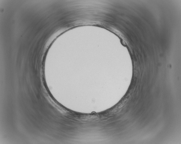 X0000069391187200606091709