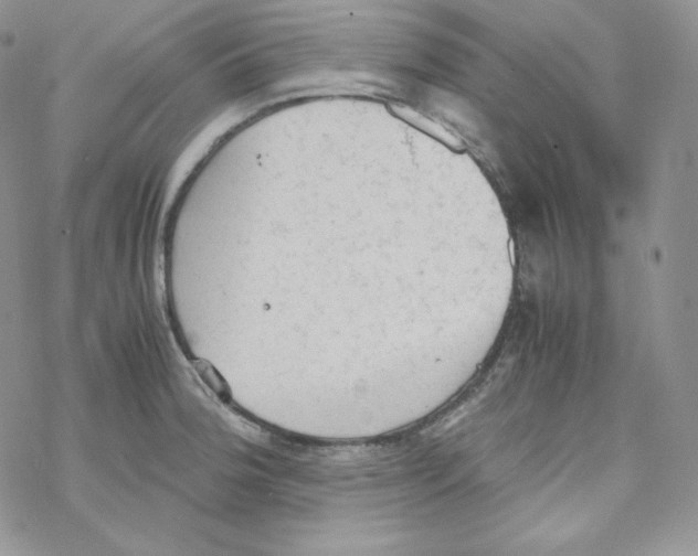 X0000069391188200606091709