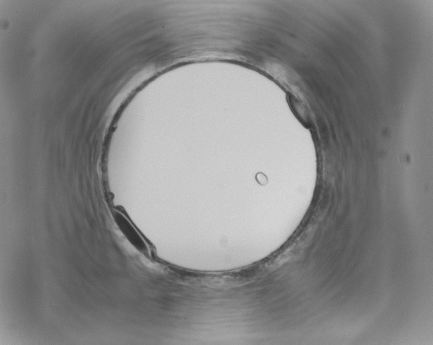 X0000069391189200606091709