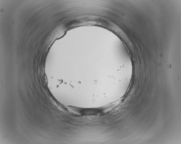 X0000069391193200606091709