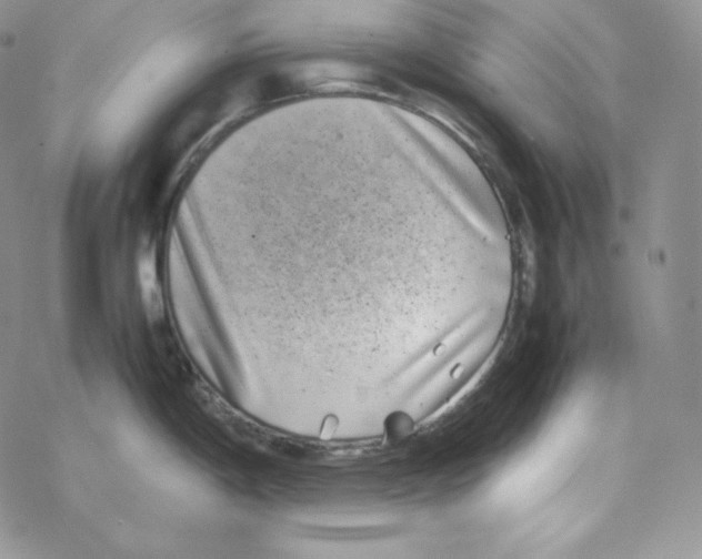 X0000069391198200606091709