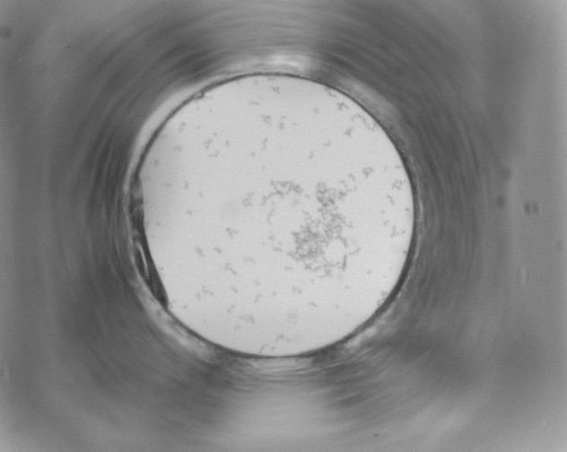 X0000069391200200606091709