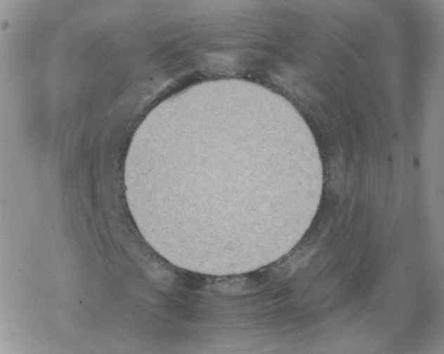 X0000069391201200606091708