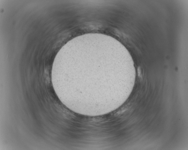 X0000069391203200606091708