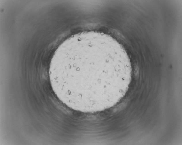 X0000069391204200606091708