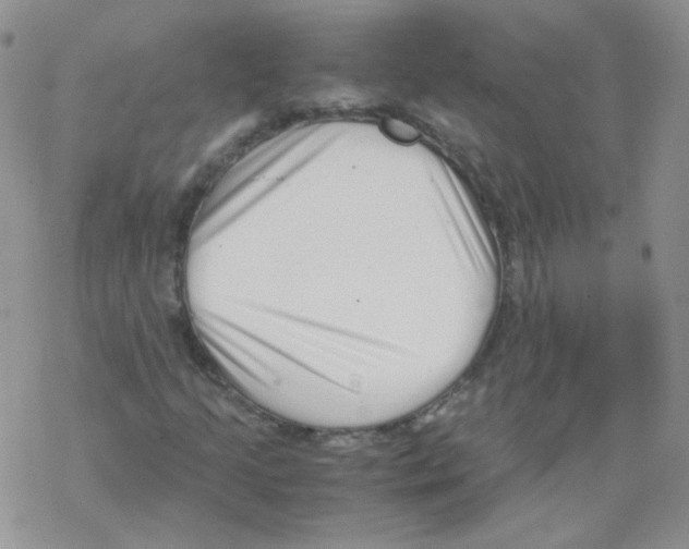 X0000069391205200606091708