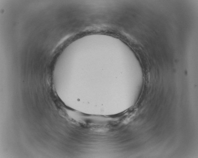 X0000069391206200606091708