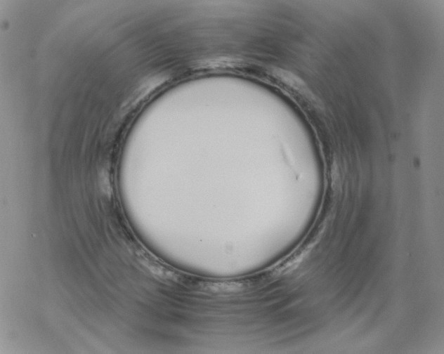 X0000069391209200606091708