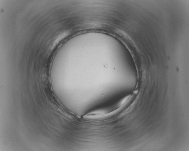 X0000069391210200606091708