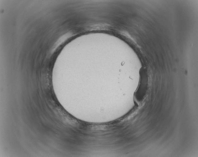 X0000069391211200606091708