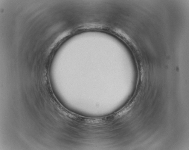 X0000069391213200606091708