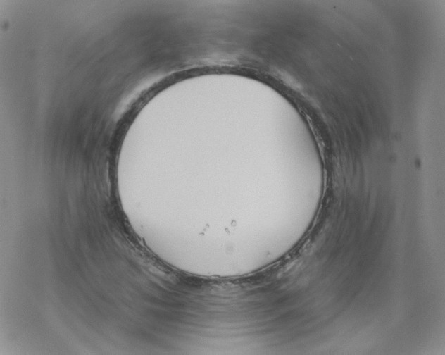 X0000069391214200606091708