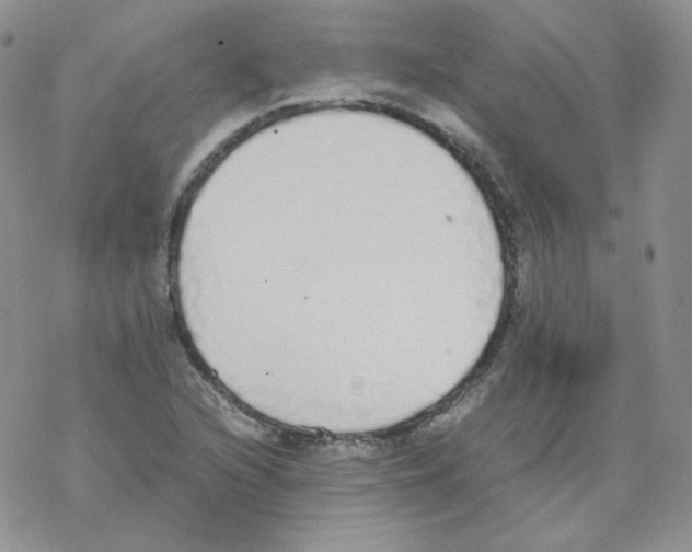 X0000069391216200606091708