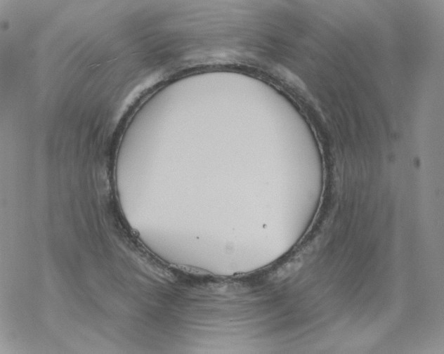 X0000069391218200606091708