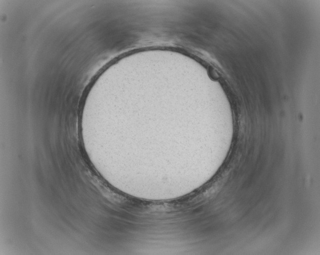 X0000069391220200606091708