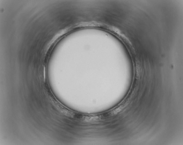 X0000069391221200606091708