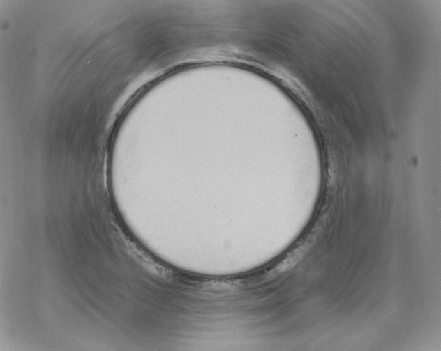 X0000069391224200606091708