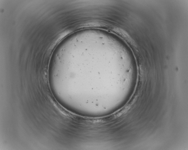 X0000069391225200606091708