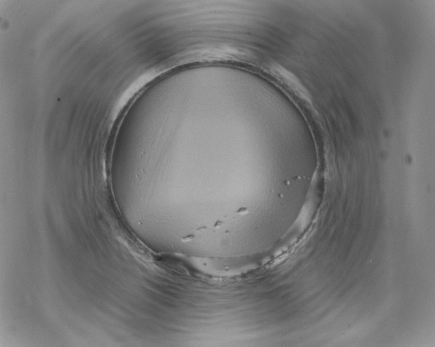 X0000069391226200606091708