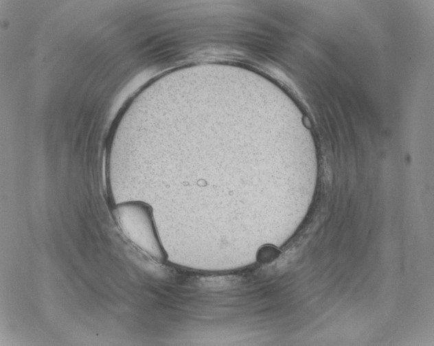 X0000069391227200606091708