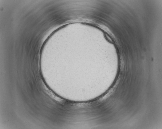 X0000069391228200606091708