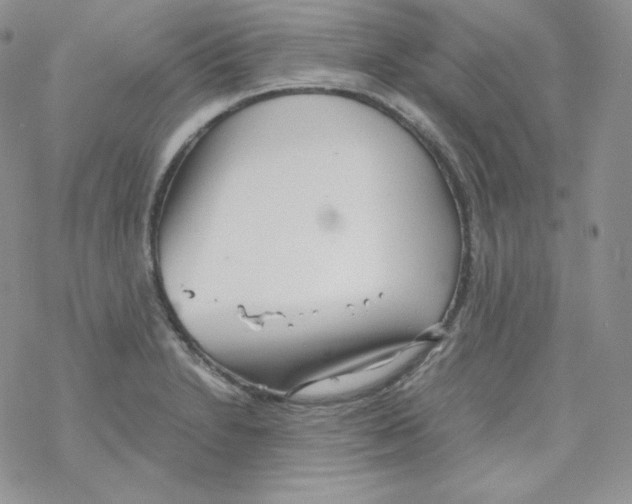 X0000069391230200606091708