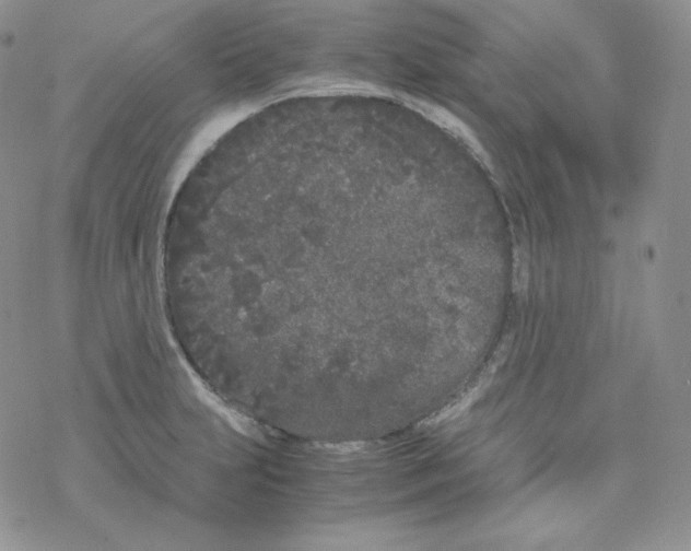 X0000069391231200606091708