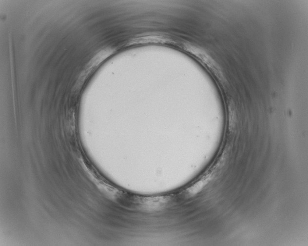 X0000069391233200606091708