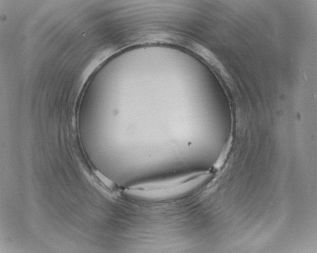 X0000069391234200606091708