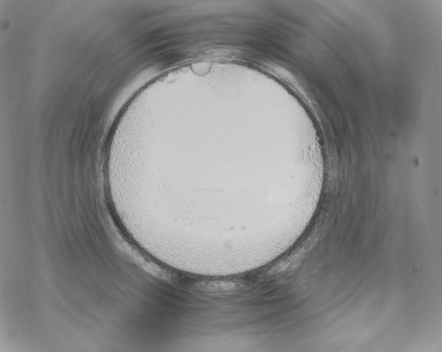 X0000069391235200606091708