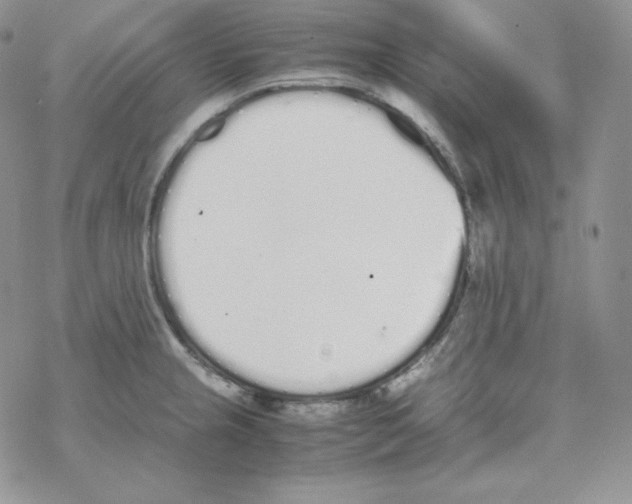 X0000069391237200606091708