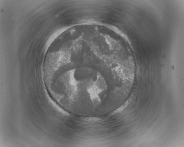 X0000069391239200606091708