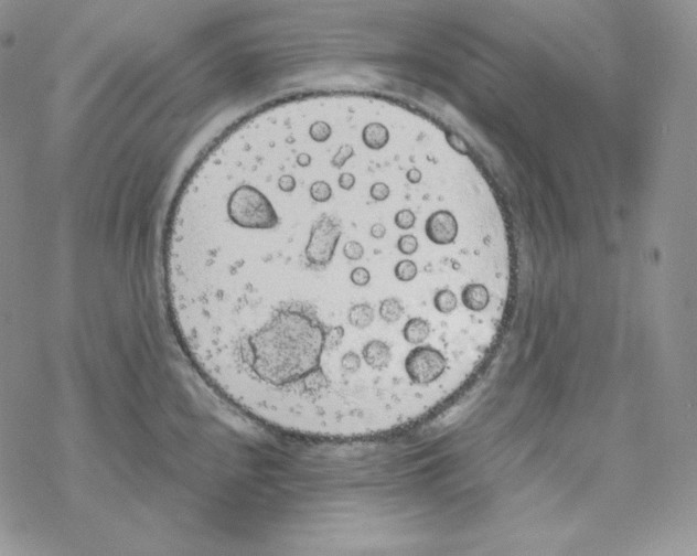 X0000069391240200606091708