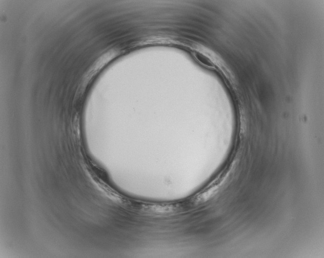 X0000069391241200606091708