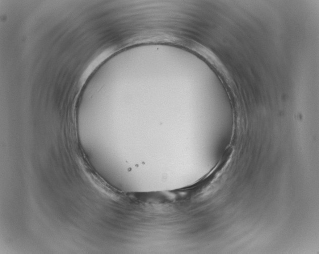 X0000069391242200606091708