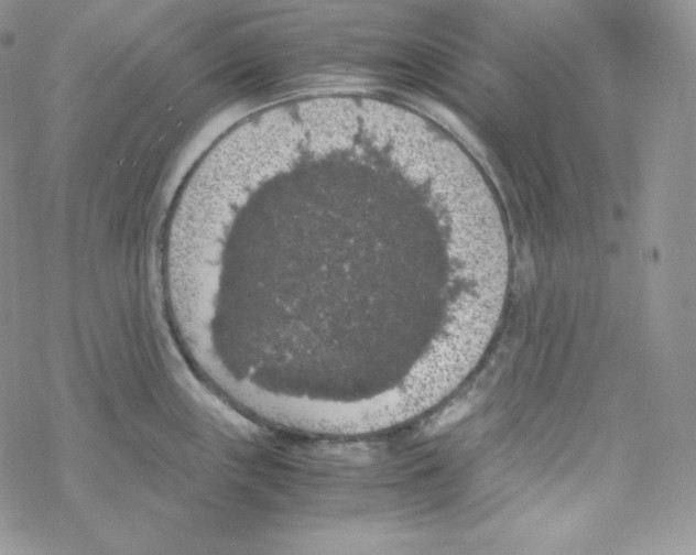 X0000069391243200606091708