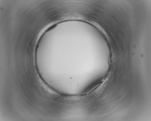 X0000069391246200606091709