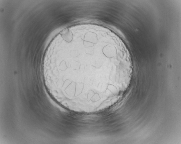 X0000069391247200606091709