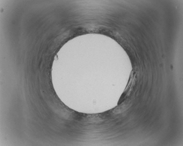 X0000069391249200606091708