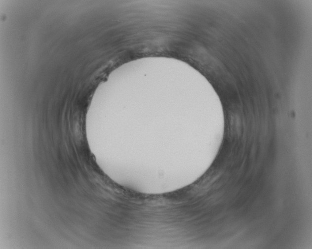 X0000069391250200606091708