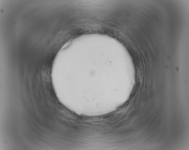 X0000069391251200606091708