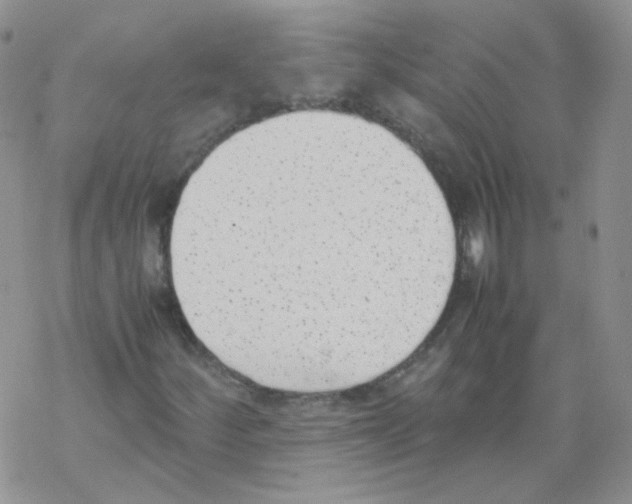 X0000069391252200606091708